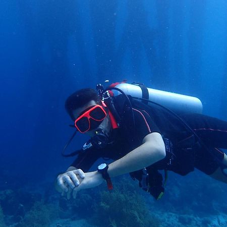 Villa Gobernador Bonaire Playa Eksteriør billede